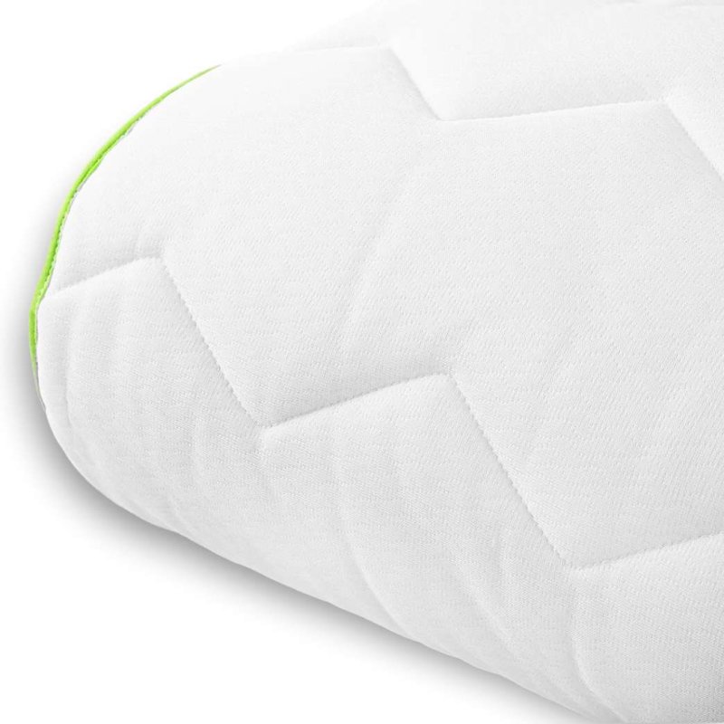 Ovitek_aloe_vera_emi